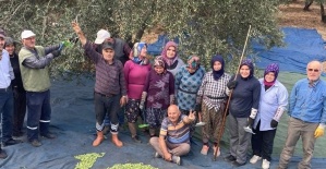 Kırkağaçlı çiftçiler topladıkları zeytinlerden 100. Yıl logosu yaptı