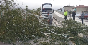 Fırtına Alaşehir’de hayatı olumsuz etkiledi