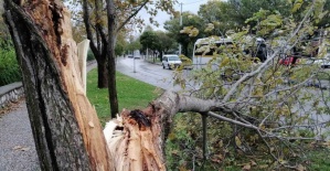 Manisa’da fırtına etkili oluyor