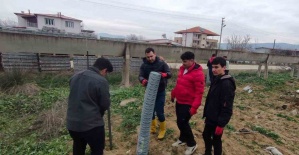 Tarım öğrencileri 200 zeytin fidanı dikti