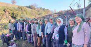 Kadınlar gününü üzüm bağında kutladılar