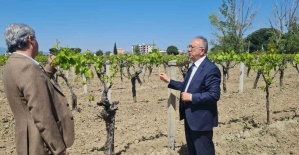 Büyükşehir’den don zararına uğrayan üreticilere destek