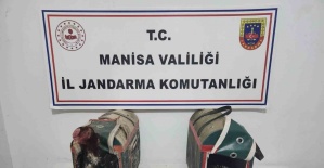 Horoz Dövüşüne suçüstü