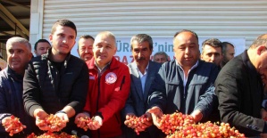 İlk kirazın kilosu 3 bin 500 TL’den satıldı