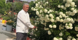 İmam, camiyi çiçek bahçesine çevirdi