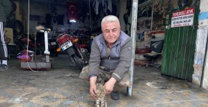 Manisalı esnafın duyarlılığı bir kediyi hayata bağladı