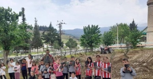 Minik eller okul bahçesine zeytin dikti