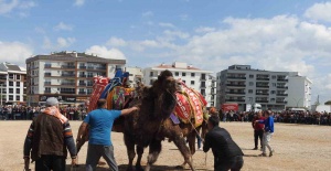 Şehir merkezinde 30 yıl sonra cami yararına deve güreşi düzenlendi