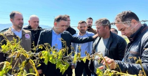 TBMM zirai dondan etkilenen üreticiler için adım attı