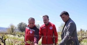 Turgutlu’da yetkililer sahada don vuran arazileri inceledi
