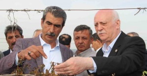 TZOB Genel Başkanı Bayraktar, Manisa’da don afeti sonrası bağlarda incelemelerde bulundu