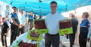 Alaşehirliler festivalle coşacak