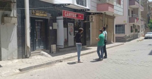 Kediyi pompalı tüfekle öldürdü serbest kaldı