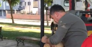 Manisa’da ağaçta mahsur kalan kedi kurtarıldı