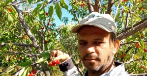 bNapolyon kirazı fiyatıyla üreticilerin.../b