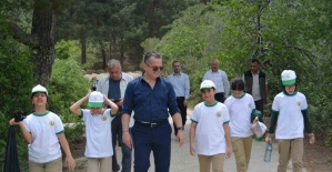 Soma’da ormanlar tertemiz oldu