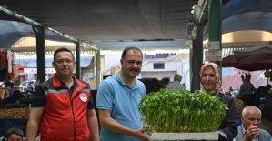 Demircili çiftçilere 40 bin ücretsiz sebze fidesi dağıtıldı
