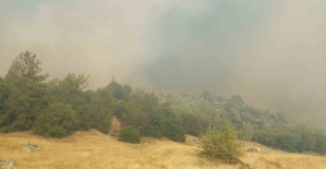 Kula’daki orman yangını için ekipler ve vatandaşlar seferber oldu