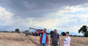 Manisa’da biçerdöverler takip altında