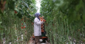 Türkiye’nin jeotermal sera alanı yüzde bin 500 büyüyebilir