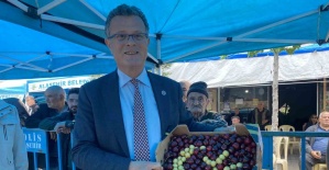 Yılın en güzel kirazı seçildi
