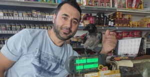 bGörenler şaşıp kalıyor! Salihlide.../b