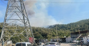 Manisa'daki orman yangını kontrol altına alındı