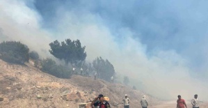 Manisa’daki orman yangını kontrol altına alındı