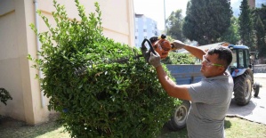 bYeşil bir Yunusemre için çalışmalar.../b