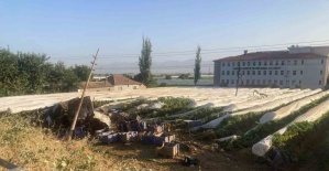 Yoldan çıkıp üzüm bağına uçan tırın şoförü hayatını kaybetti