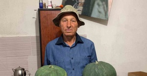 Dededen kalan tohumla "Çavuşlar Kavunu" yeniden canlandırıldı