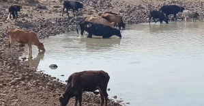 bKöylüye ve doğaya hayat veren göletler.../b