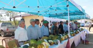 Kula’da ilk kez kavun festivali düzenlendi