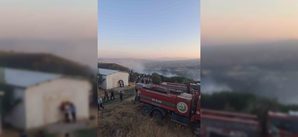 Manisa’da orman yangını