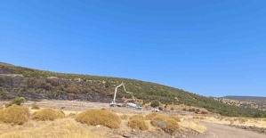 Şehzadeler’deki orman yangınıyla ilgili 1 kişi tutuklandı