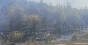 bSoma yangınında bir mahalle boşaltındı,.../b
