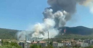 bSomada orman yangını/b