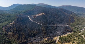 Soma’daki orman yangınında soğutma çalışmaları sürüyor