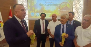 TARİŞ Üzüm Birliği Başkanı Şen: "Şu an en büyük sorunumuz pazarımızı kaybetmemek"