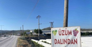 Dalından satışla ekonomiye katkı