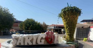 Dev üzüm salkımı festivale damga vurdu