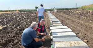 Halitpaşa’da arı ölümleri inceleme altında