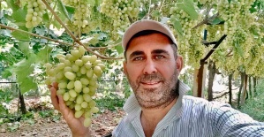 Kaliteli üzüm üretimiyle Sarıgöl’de örnek bağ