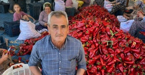 bSalihlide kapya biberde hasat zamanı/b