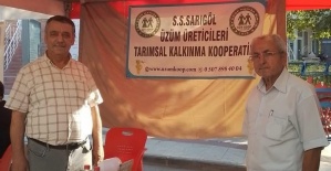 Sarıgöl’de pekmezli karbastı festivale damga vurdu