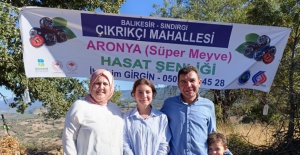 Sındırgı Çıkrıkçı Mahallesi'nde Süper Meyve Aronyaya Hasat Şenliği yapıldı