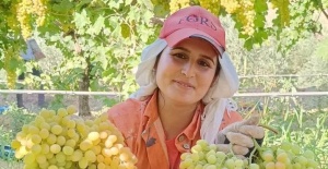 Üzüm yiyin, hastalıklardan korunun