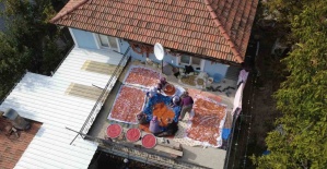 bDemircinin 16 çeşitli tarhanası.../b