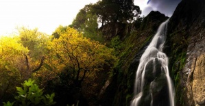 bManisada sonbahar manzaraları Karadeniz.../b