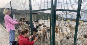 Alaşehir’de 30 Dönümlük Doğal Yaşam Alanı Açıldı